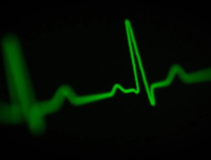 Understanding Your Pet’s CPR Status Before Surgery