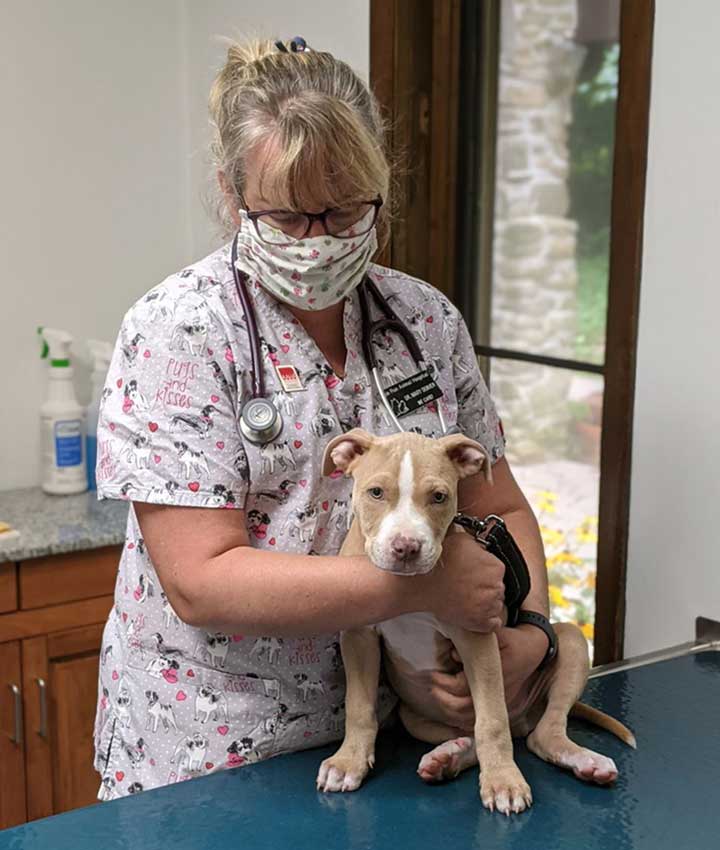 Dr. Mary Denver, DVM
